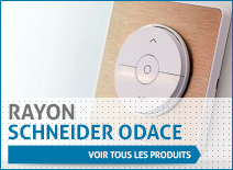 Rayon Schneider odace