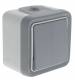 Va et vient double Plexo gris complet saillie