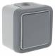 Bouton poussoir Plexo gris complet