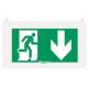 Plaque de signalisation Sortie en dessous pour BAES ARCOR2