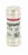 Fusible cartouche cylindrique 10.3x25.8 mm 16 Amp�res