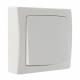 Interrupteur bipolaire complet saillie blanc
