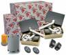 kit BFT ELI 250 BT