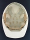 Casque de chantier