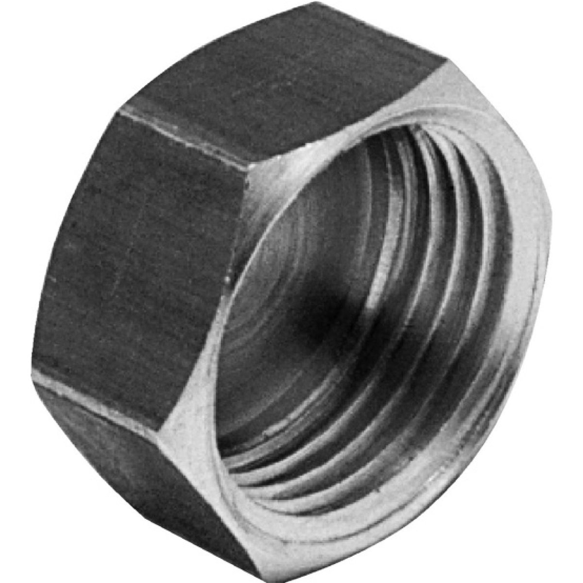 Lot De 10 Bouchons En Laiton 1/4 Pouce Femelle - Raccord Hexagonal, Pour Obturation De Tuyauterie Ou Vannes