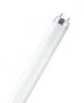 Tube Fluorescent - Osram LUMILUX T8 - 15 Watts - G13 - 6500K