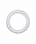 Tube fluorescent circulaire - Osram Lumilux T9 C - 22 Watts - G10Q - 2700K