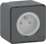 Prise 2 P+T - Gris - Saillie - Schneider electric MUR35031