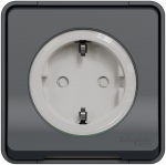 Prise 2 P+T - Gris - Saillie - Standard allemand - Schneider electric MUR36034
