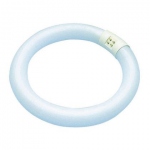 Tube fluorescent circline - G10Q - 32W - 4000K - 30 x 307 mm - Orbitec 007560