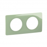 Plaque de finition - 2 Postes - Vert C�ladon - Legrand C�liane CP0502