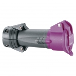 Prise droite femelle 16 Amp�res 2P IP44 mauve - Legrand Hypra TBT 52461