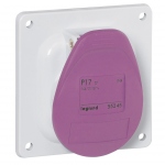 Prise tableau 16 Amp�res 2P IP44 mauve - Legrand TBT 55245