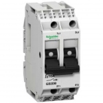 Disjoncteur de controle - Schneider - 2 Ples - 2 Ampres - Schneider electric GB2DB07