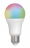 Ampoule � LED - Connect�e - E27 - 9W - TUYA - RGBW - A60 - Dimmable - ARIC 20127