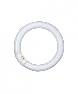 Tube fluorescent circulaire - Osram Lumilux T9 C - 40 Watts - G10Q - 4000K