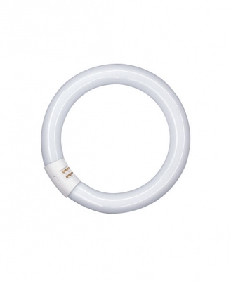 Tube fluorescent circulaire - Osram Lumilux T9 C - 22 Watts - G10Q - 4000K