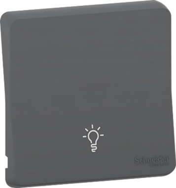 Enjoliveurs - Symbole lumi�re - Gris - Mureva styl - Schneider electric MUR34202