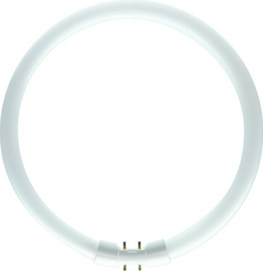 Tube fluorescent circulaire - Osram Lumilux T5 - 22 Watts - 2GX13 - 3000K