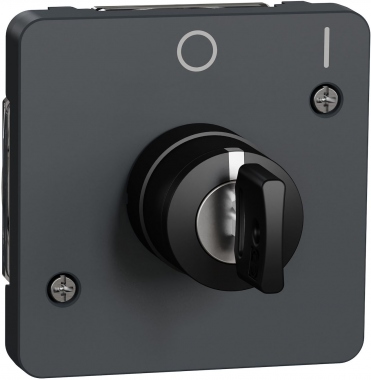 Interrupteur � cl� - 2 Positions - Gris - Composable - Mureva styl - Schneider electric MUR35062
