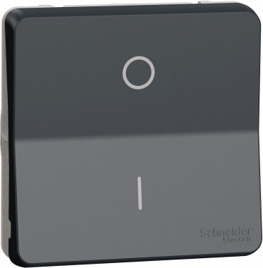 Interrupteur bipolaire - Gris - Composable - Mureva styl - Schneider electric MUR35034