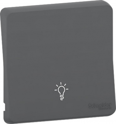 Enjoliveurs - Symbole lumi�re - Gris - Mureva styl - Schneider electric MUR34202