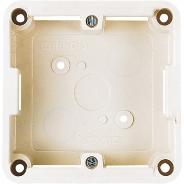 Cadre saillie - 100 x 100 - L'�b�noid 25508