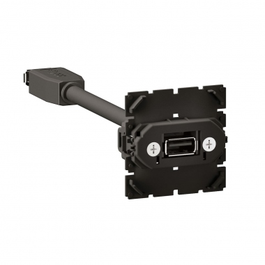 Prise USB 2.0 - Type A - Pr�connectoris�e - Legrand C�liane CM0326