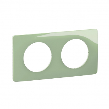 Plaque de finition - 2 Postes - Vert C�ladon - Legrand C�liane CP0502