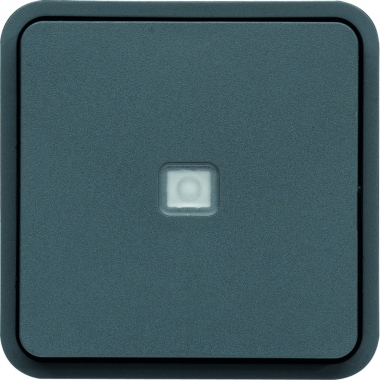 Bouton poussoir lumineux NO-NF 10A Hager Cubyko composable gris