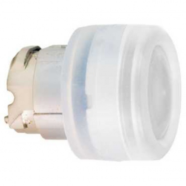 T�te Bouton Poussoir - Lumineux - Capuchonn� - Blanc - Schneider ZB4BW513