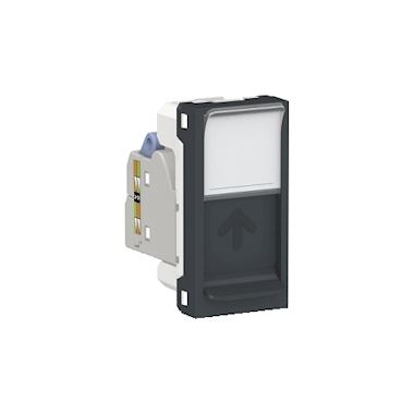 Prise RJ45 - 1 Module - CAT6 - FTP - Anthracite - Schneider electric NU344754