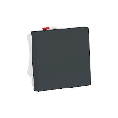 Bouton poussoir - 2 Modules - NO - 10A - Bornes auto - Anthracite - Schneider Unica NU320654