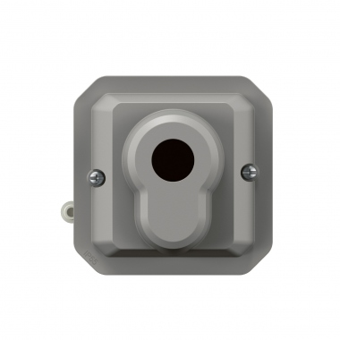 Interrupteur � cl� - Ronis - 3 positions - Gris - Composable - Legrand plexo 069535L