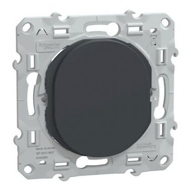 Obturateur - Anthracite - Schneider Electric S340666