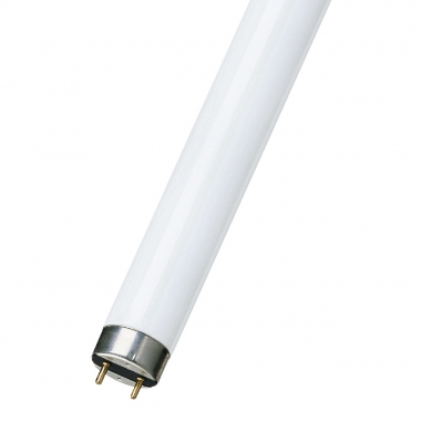 Tube fluorescent - Ultra violet - G13 - 40W - T12 - 38 x 590 mm - Sp�ciale insecte - Bailey FT040BLK368C