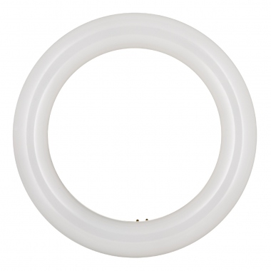 Tube � LED - Bailey Ecobasic - Circline - G10Q - 11W - 4000K - T9 - Bailey 80100040820
