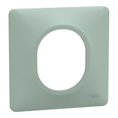 Plaque de finition - Ovalis - 1 Poste - Sauge - Schneider Electric S320702A