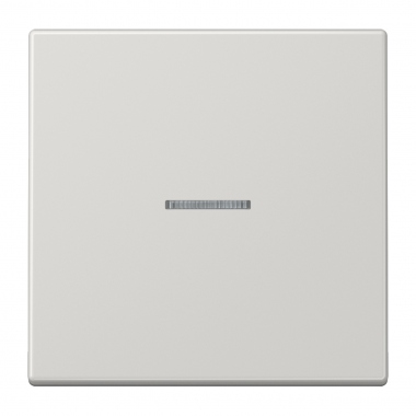 Enjoliveur - Simple touche - A voyant - LS - Gris clair - Jung LS990KO5LG