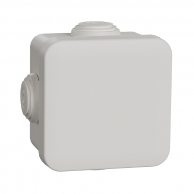 Boite de d�rivation - Avec embouts - 65 x 65 x 45 mm - Blanc - Schneider Electric IMT05022