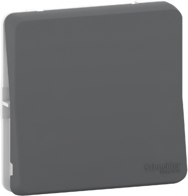 Bouton poussoir - Gris - Composable - Schneider electric MUR35027