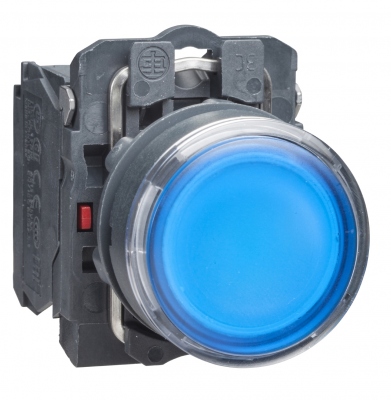Bouton poussoir - Lumineux - Bleu - Diamtre 22 mm - impulsion - 120V - 1O+1F - Schneider electric XB5AW36G5