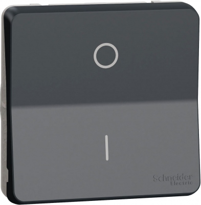 Interrupteur bipolaire - Gris - Composable - Mureva styl - Schneider electric MUR35034