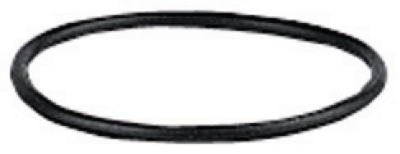 Joint torique - RG - OR - Watts Industries 22L0199013