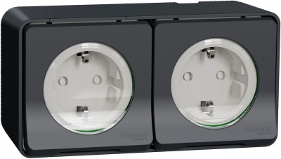 Prise 2 P+T - Double - Gris - Saillie - Standard allemand - Saillie - Schneider electric MUR36029