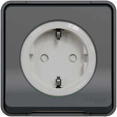 Prise 2 P+T - Gris - Saillie - Standard allemand - Schneider electric MUR36034