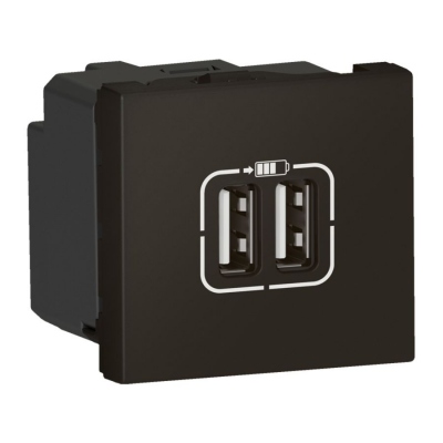Chargeur - 2 Modules - 2USB A 2.4A - 12W - Noir Mat - Legrand 079194L