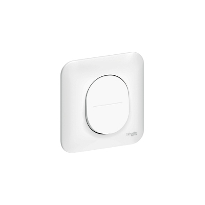 Va et Vient 10 A - Blanc - Fixation par Vis - Schneider Ovalis - Complet