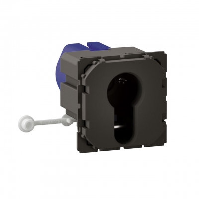 Poussoir � cl� - 3 Positions - 10A - Sans barillet europ�en - Legrand C�liane CM0072