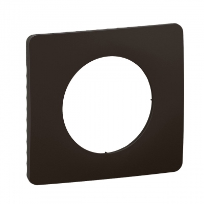 Plaque de finition - 1 Poste - Noir mat - Legrand C�liane CP0101